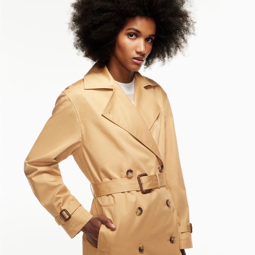 Aritzia Babaton Vanasco Trench Coat
